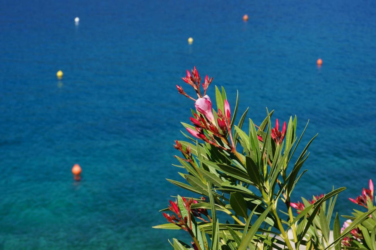 Studio Apartment Michelle - Intermezzo With Sea View Rabac Εξωτερικό φωτογραφία