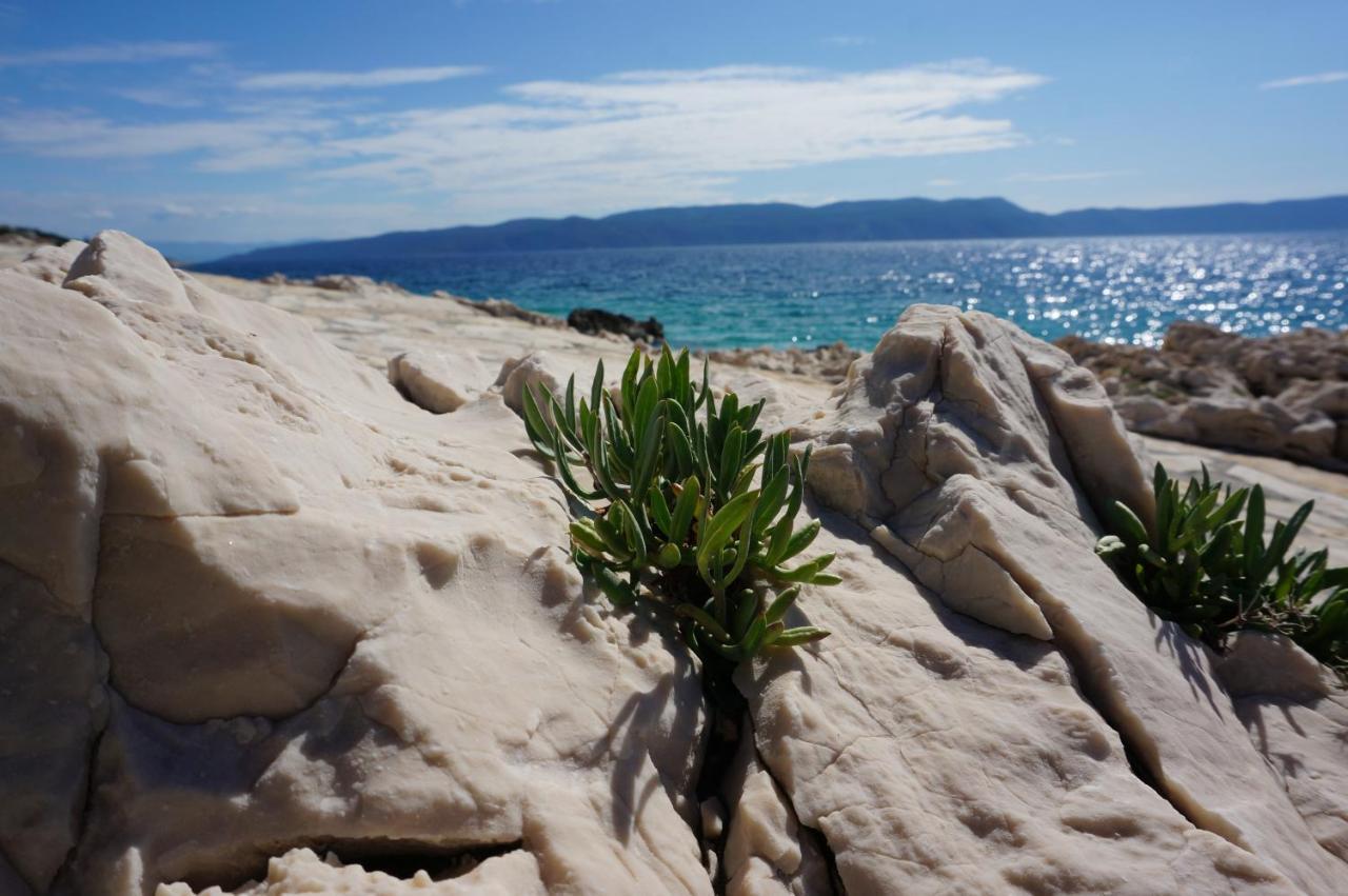 Studio Apartment Michelle - Intermezzo With Sea View Rabac Εξωτερικό φωτογραφία